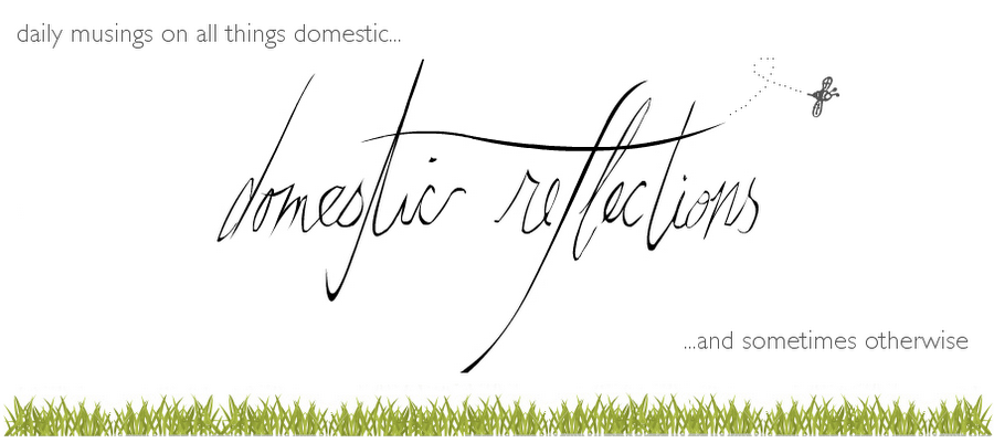 Domestic Reflections