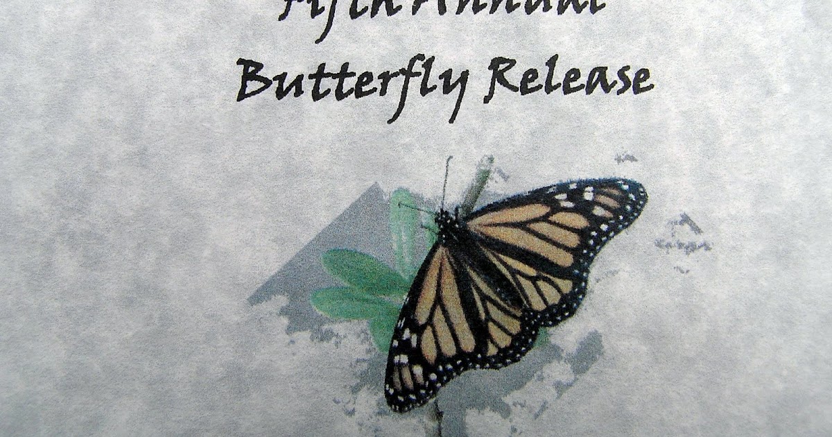 Kayleigh's Story Butterfly Release Memorial