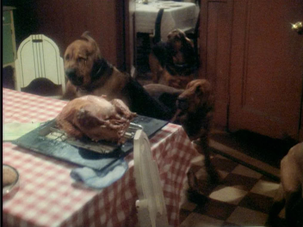 one dog story soundtrack one dog story soundtrack