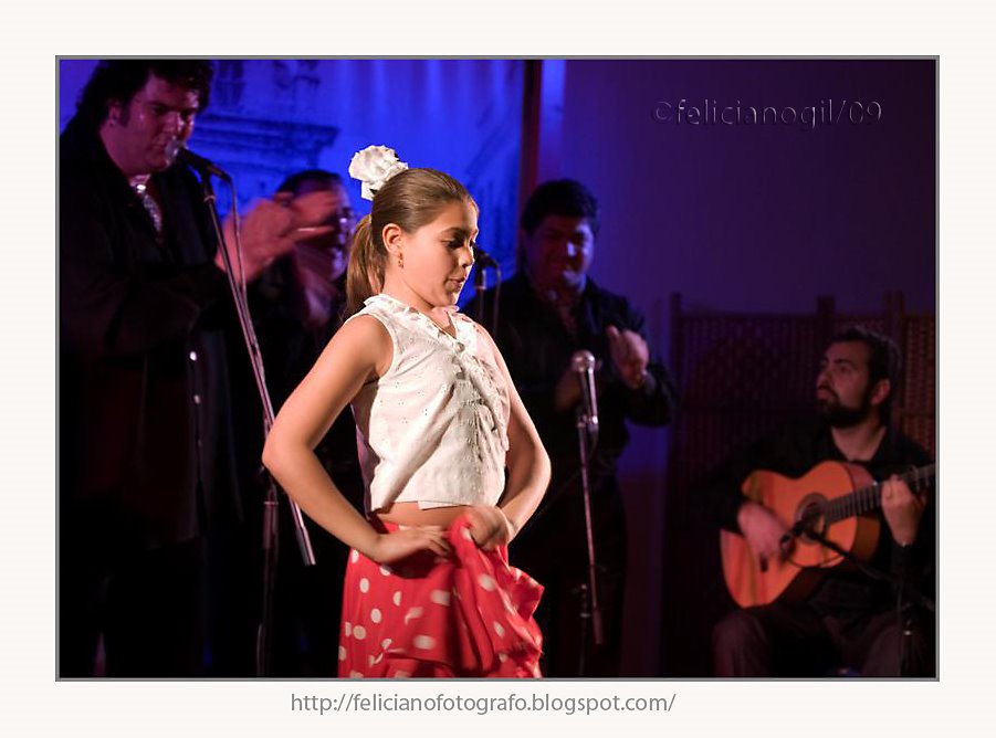 [la+peña+la+buleria+en+el+festival+flamenco+2009+70+(Medium).jpg]