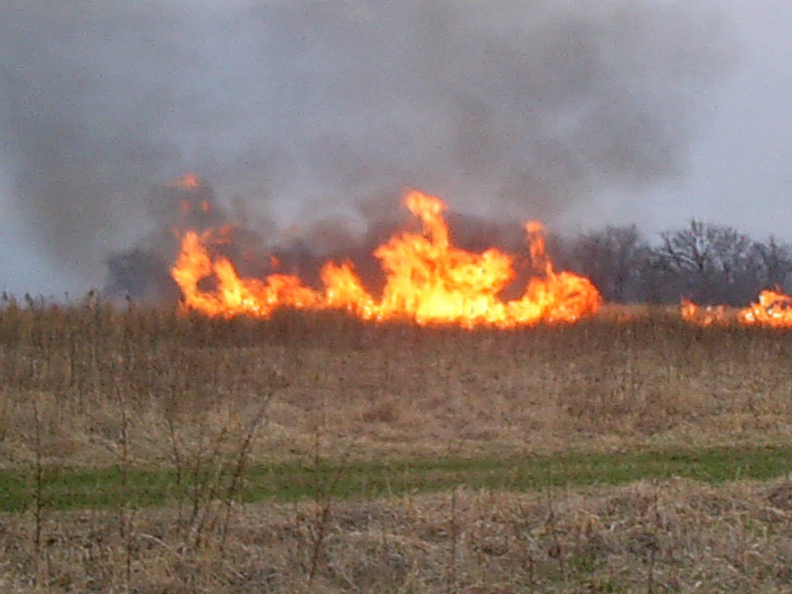 Observations in Agriculture Prairie Fire