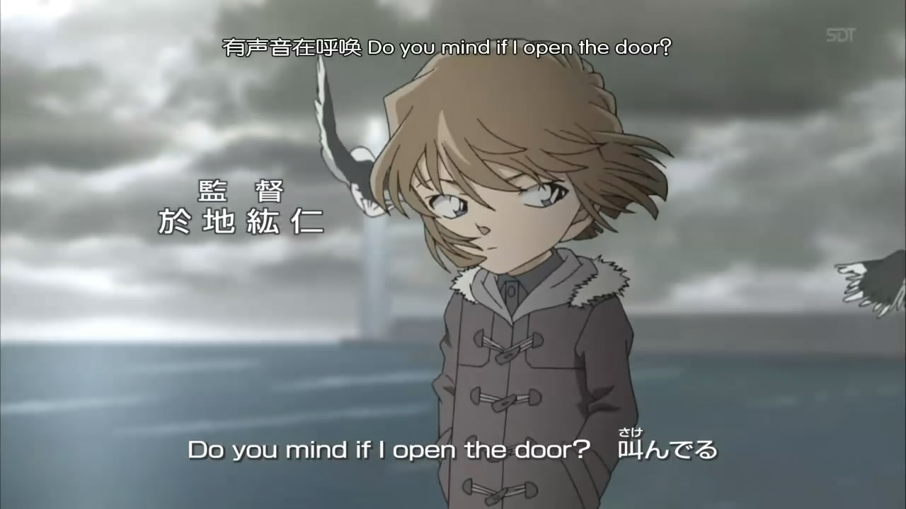 [snapshot20090122135026.jpg]