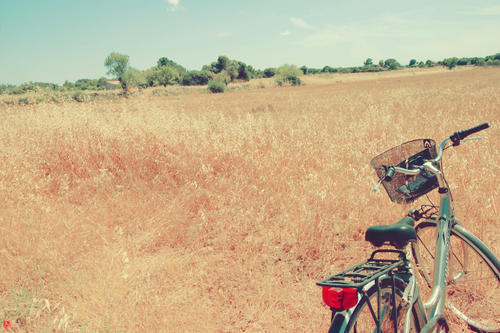 bycicle