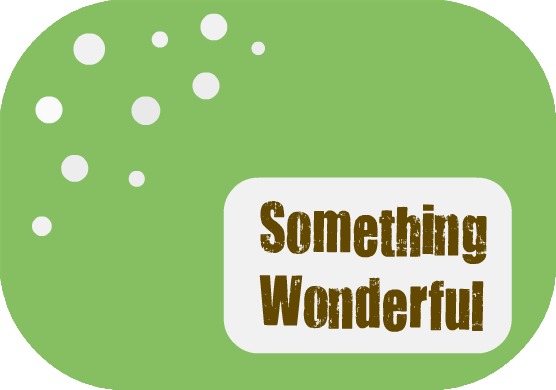 Something Wonderful