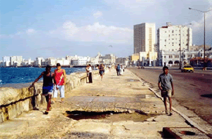 [malecon.gif]
