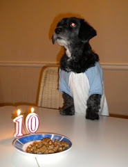 Celebrando todos los cumples perrunos del planeta