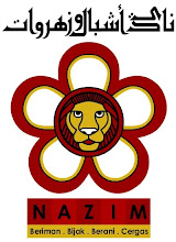 logo nazim