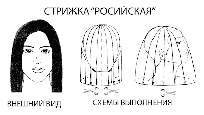 Что такое длина стрижка в технологии Что такое длина стрижка в технологии