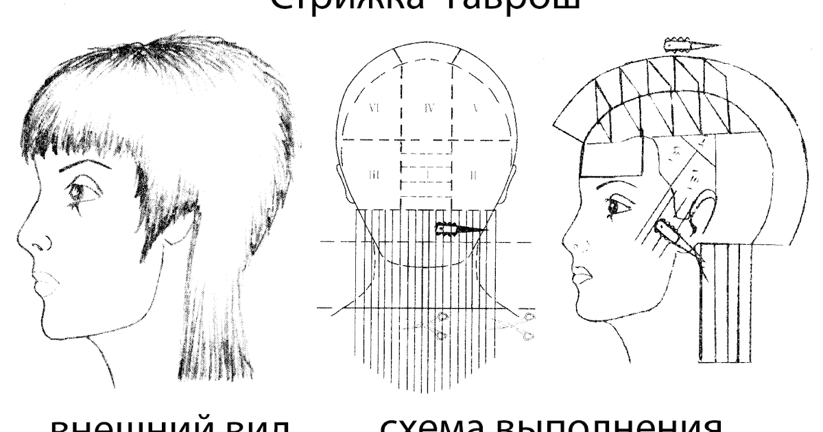 Простая женская стрижка схемы Простая женская стрижка схемы