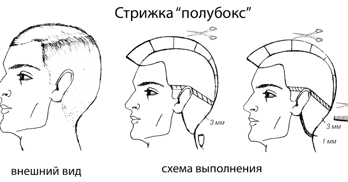 Прически с полу распущенные Прически с полу распущенные