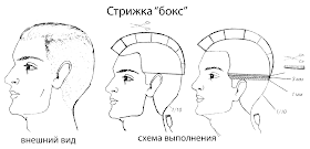Стрижка Полубокс Фото Схема Стрижка Полубокс Фото Схема