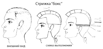 Бокс схемы Бокс схемы