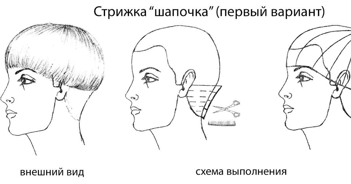 Технология стрижек короткая классическая Технология стрижек короткая классическая