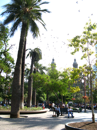 [santiago-de-Chile.gif]