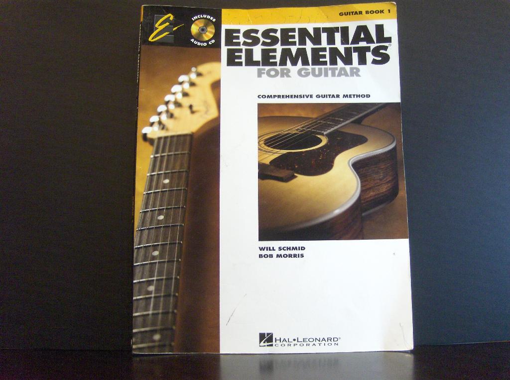 Beginner Guitar Book