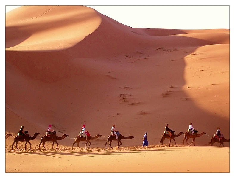 Desert Safari in Camel