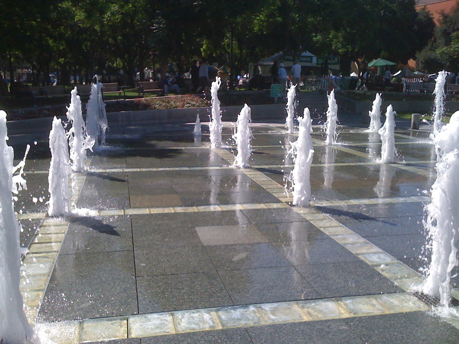 [IMG_0413.JPG]
