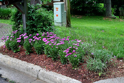 flowers around mailbox