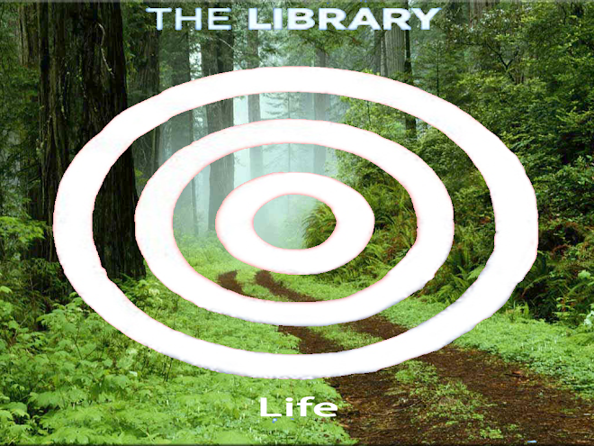 The Library Life Blog