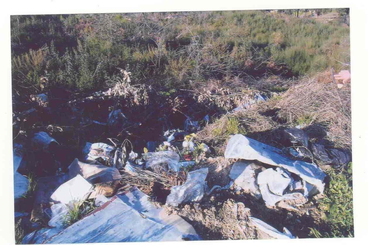 [crime+ambiental9.JPG]