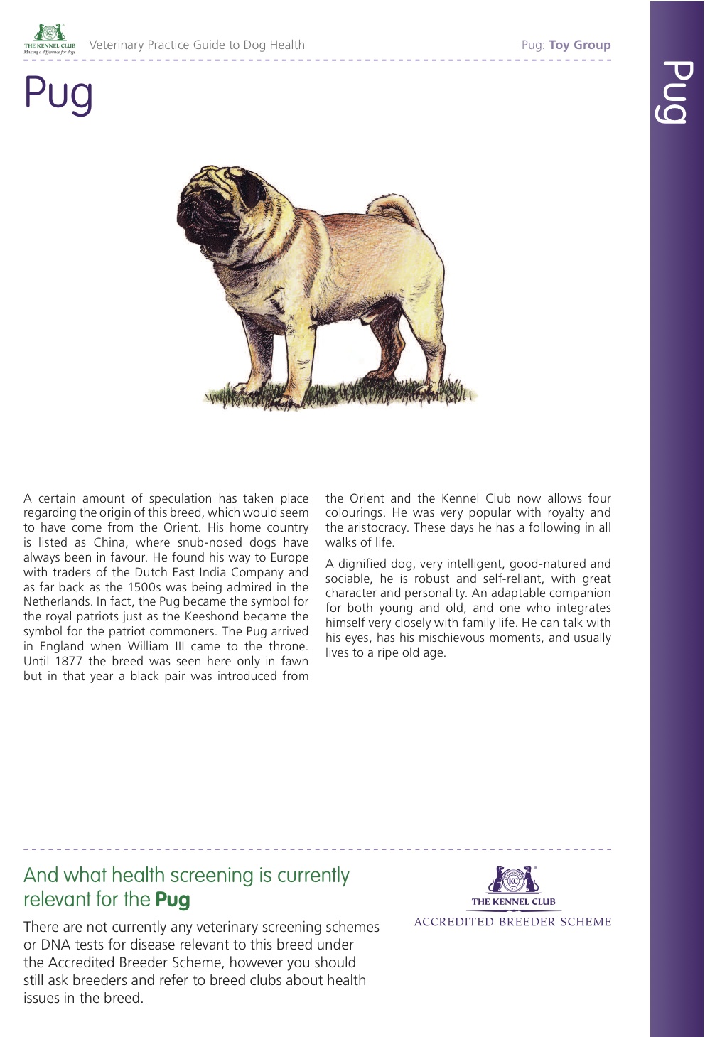 Breed Pug