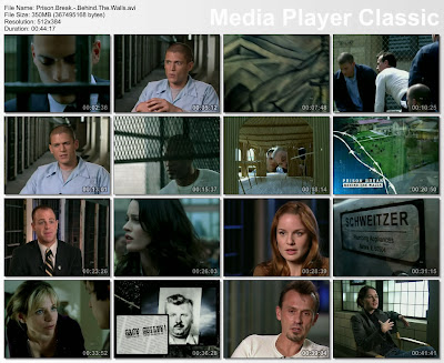 Download Prison Break Complete Season 1 HDTV-XviD-LOL Eps