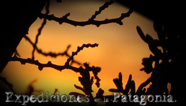Expediciones en la Patagonia | blog.
