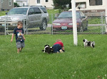 Puppies and kids