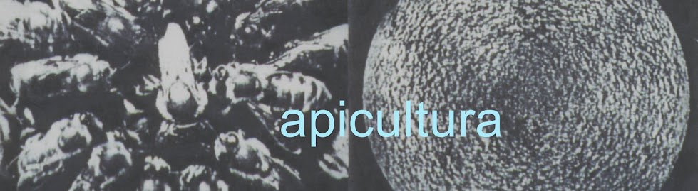 apicultura