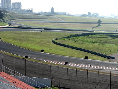 São Paulo para crianças - Gosta de automobilismo? Venha assistir uma corrida  de graça com as crianças no Autódromo de Interlagos