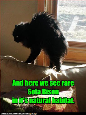 Sofa Bison