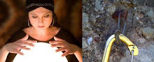 Grandes Misterios de Montserrat