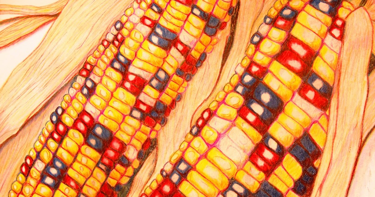 Back to Art Indian Corn colored Pencil