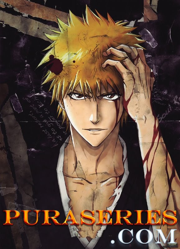 Bleach Capitulo 362 Online ANIMES SERIES Y PELICULAS ONLINE PURASERIES