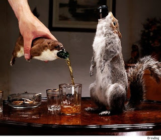 Crappy Taxidermy of the Day Seen On www.coolpicturegallery.net