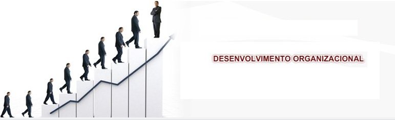 Curso de desenvolvimento organizacional