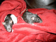 Fluffy & Sue