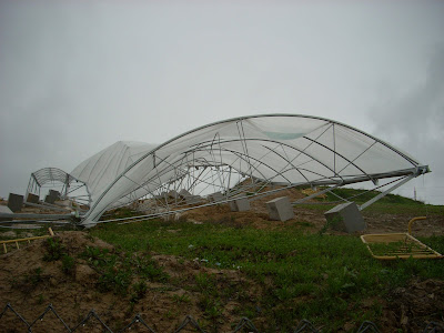 Noticias de Guzman: febrero 2009