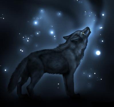 Black Wolf