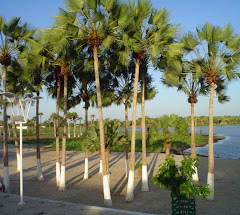 Lagoa da Prejubaca