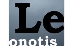 Leonotis Leonurus
