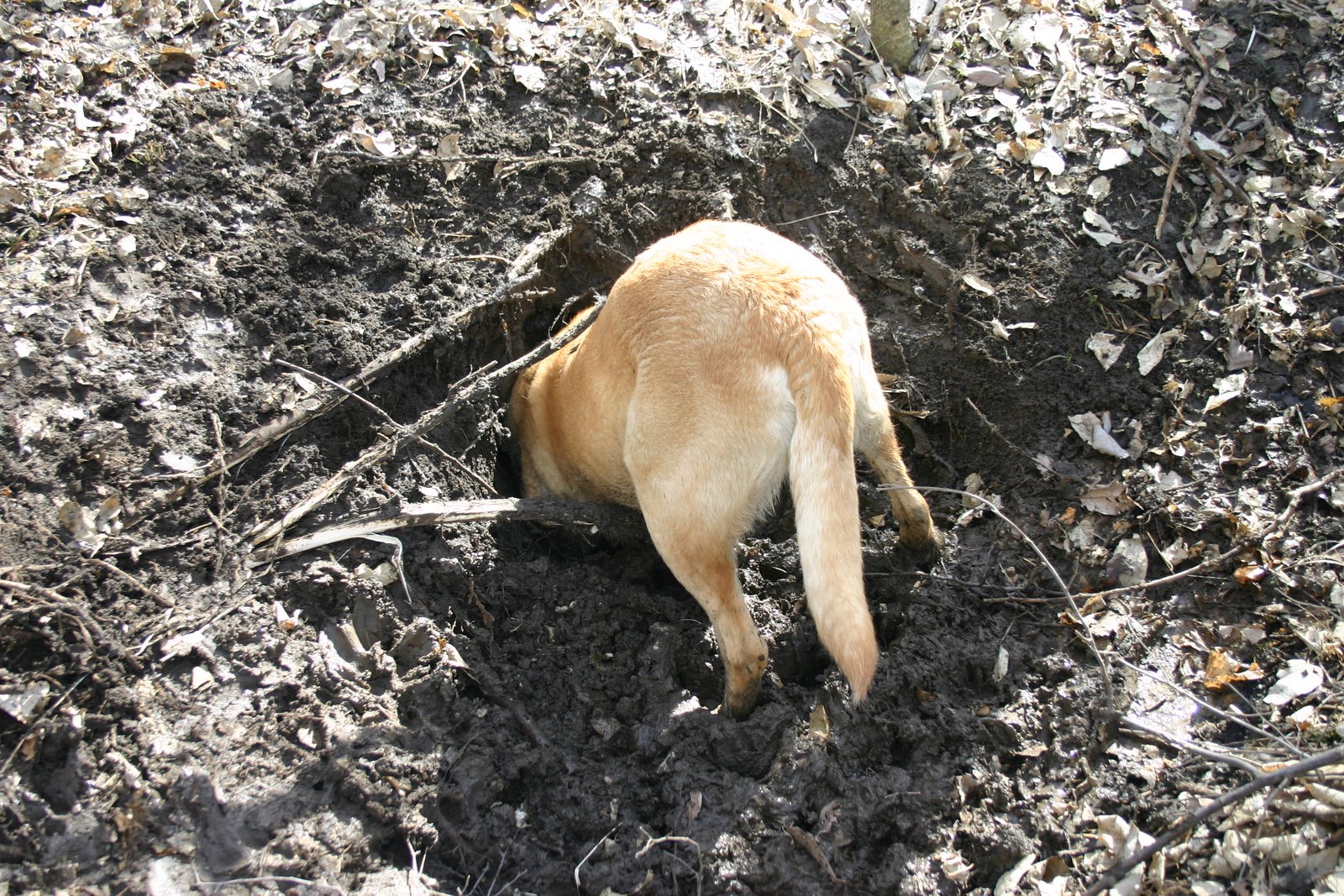[IMG_2069.JPG]