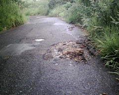 HUECOS POR DOQUIER SOBRE LA CARRETERA BALBOA -CACHIPAY