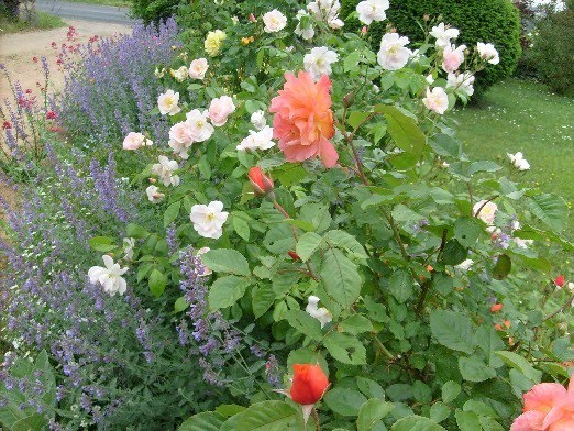 Maison A La Campagne Jardin Malin