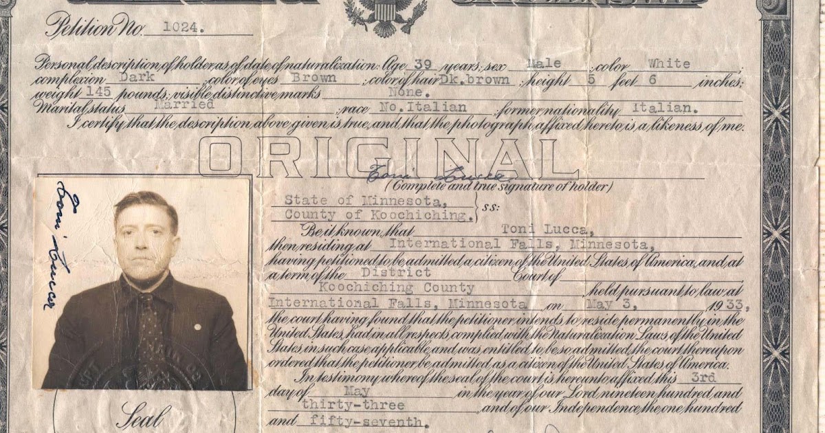 Italian immigrants essay 07 image