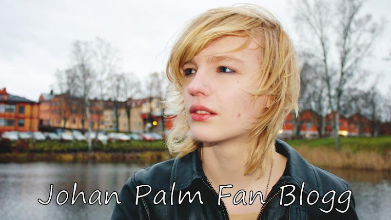 Johan Palm Fan Blogg