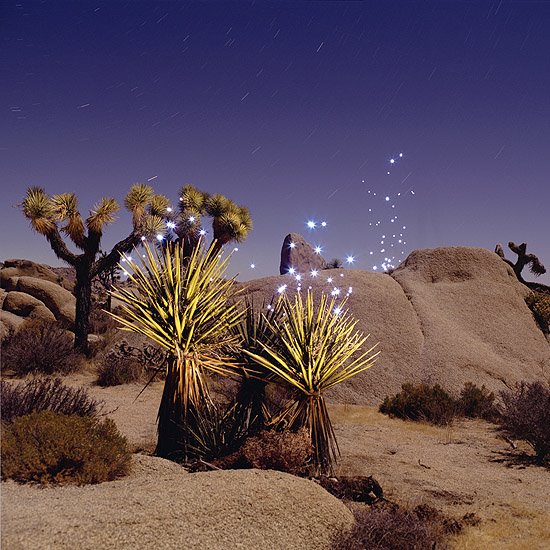 Reminds me of magical fairy dust in the desert