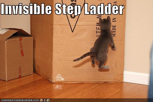 !!!!!!!!!!!!!!!lolcat-funny-pictures-invisible-stepladder.jpg