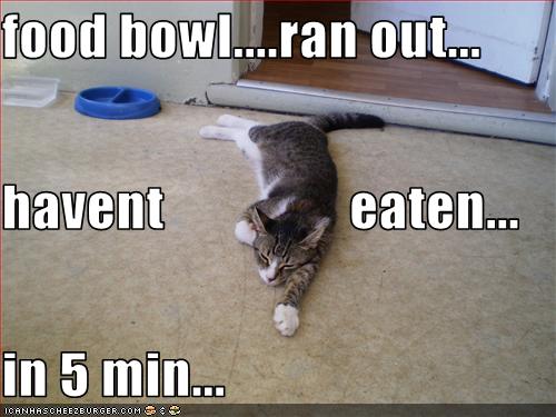 of fat people eating. funny pictures of fat people eating. of fat people eating.