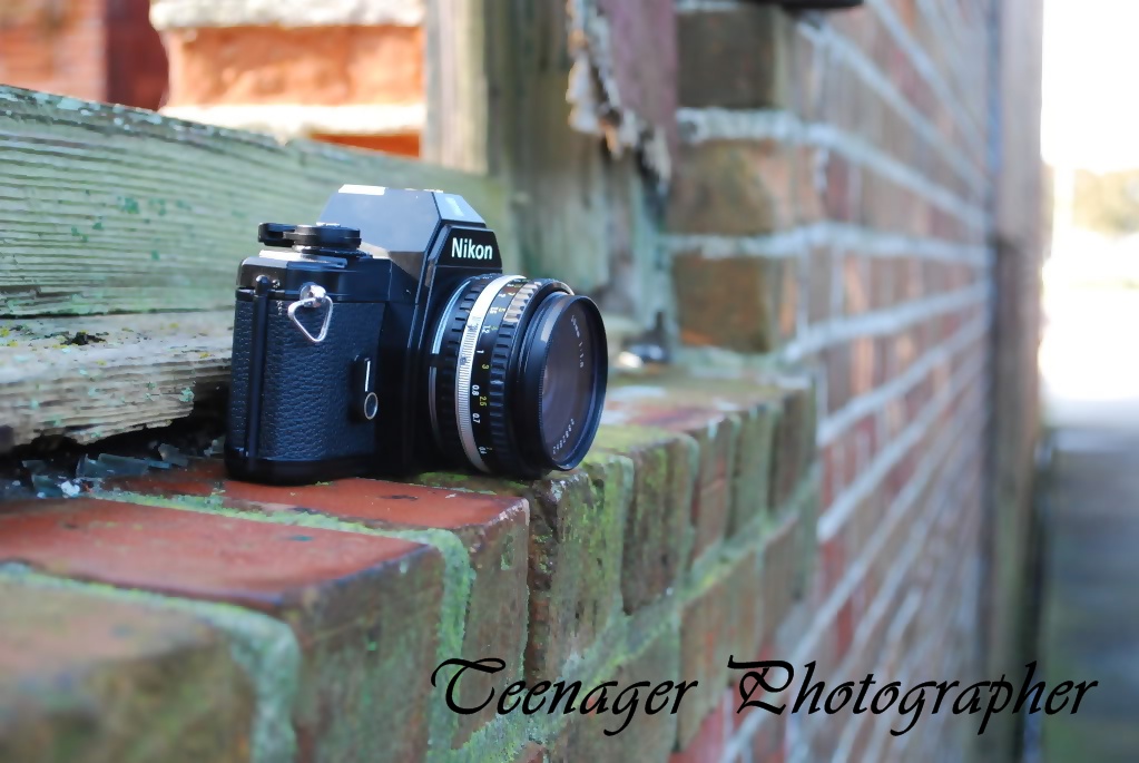 Teenager Photographer
